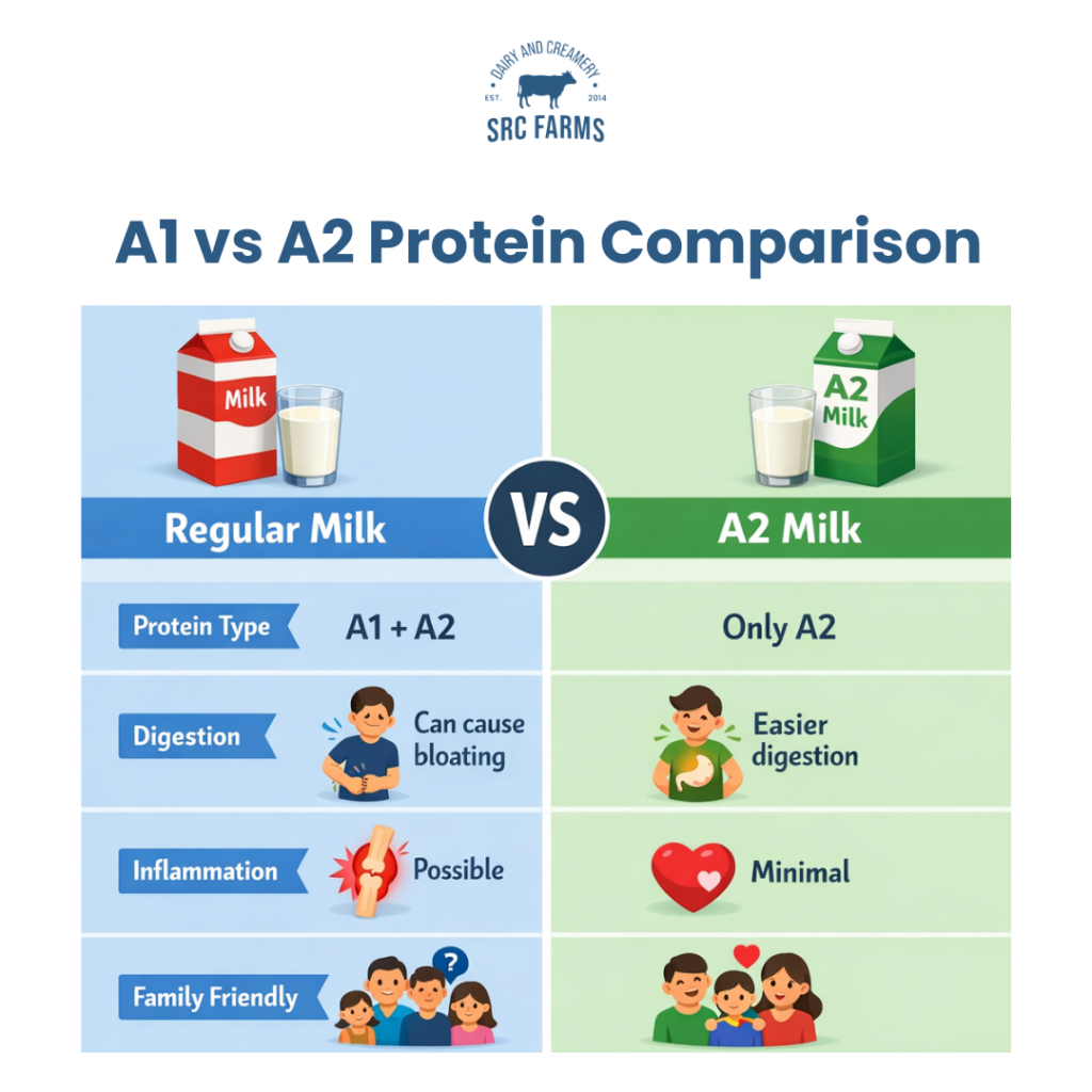 A1 vs A2 Protein Comparison