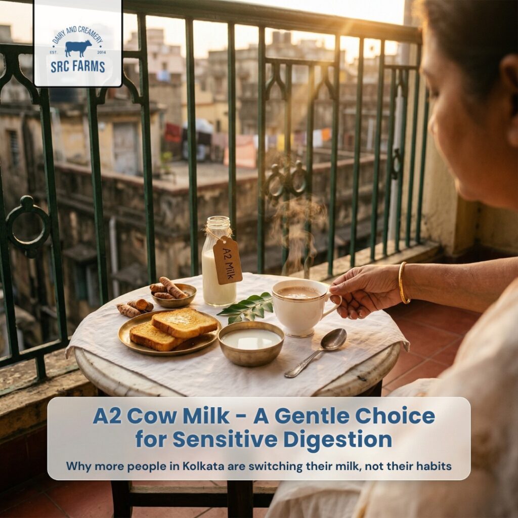 A2 cow milk - A gentle choice for sensitive digestion