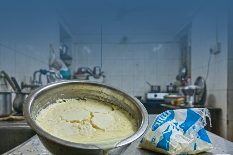 SRC Farms Blog Image - Curd
