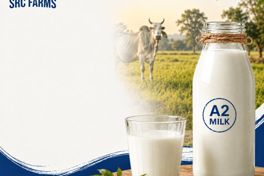 SRC Farms A2 cow milk bottle and glass in a dairy farm setting