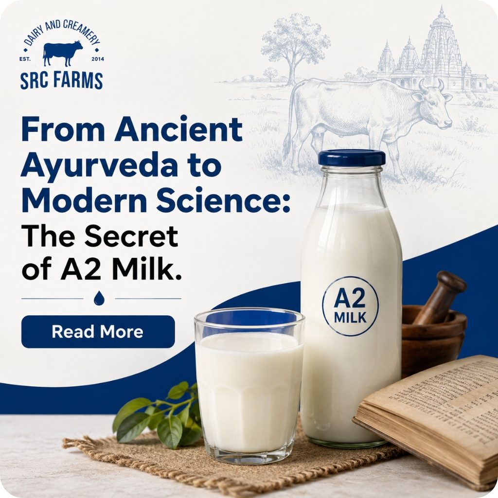 SRC Farms A2 desi cow milk — from Ayurvedic tradition to modern science